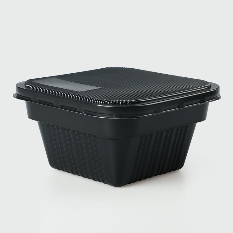 eco friendly disposable food containers with lids